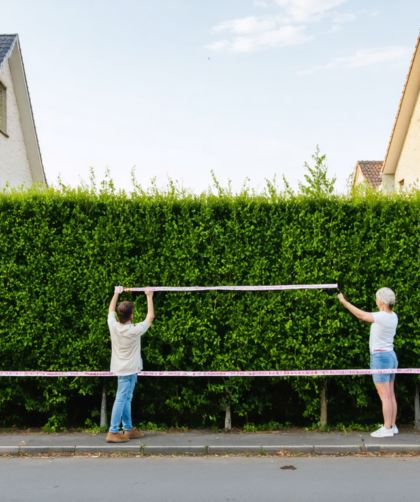 découvrez comment savoir si une haie est mitoyenne grâce à notre guide pratique avec des conseils essentiels pour bien gérer vos limites de propriété.