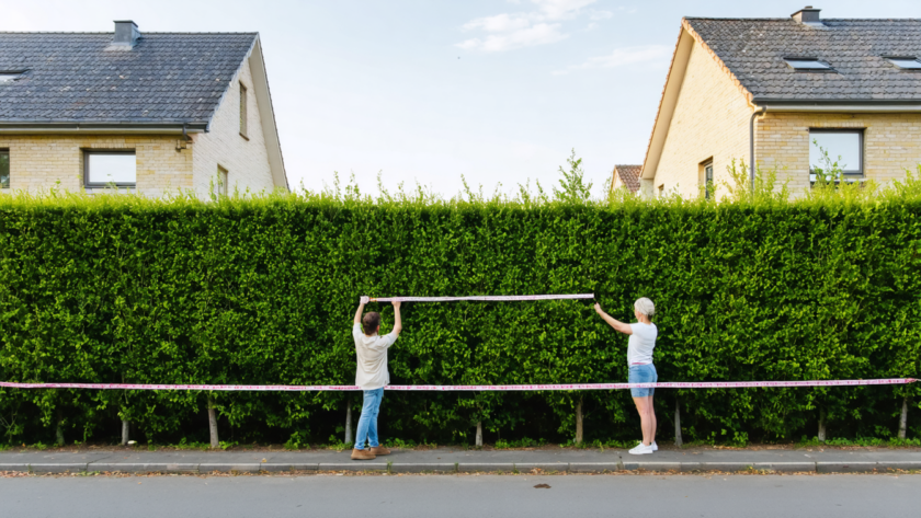 découvrez comment savoir si une haie est mitoyenne grâce à notre guide pratique avec des conseils essentiels pour bien gérer vos limites de propriété.