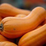 Quelle quantité de courges butternut conserver par pied pour une récolte optimale ?