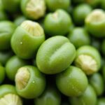 Peut-on consommer les graines présentes dans les gousses de haricots verts ?