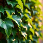 Les secrets pour comprendre pourquoi votre bignone ne produit pas de fleurs