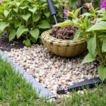Clôture rigide pour jardin : les clés indispensables pour bien choisir votre installation